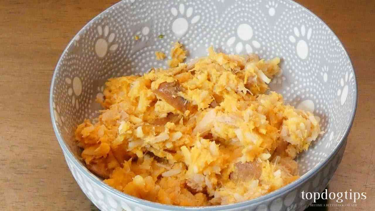 Easy Fish-Based Homemade Cat Food (Supplemental Meal for Cats)