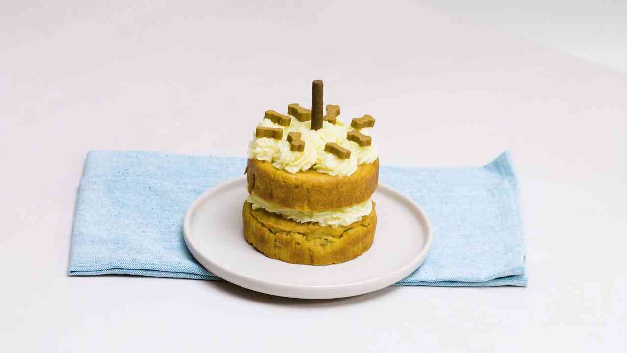 Dog Birthday Cake Recipe