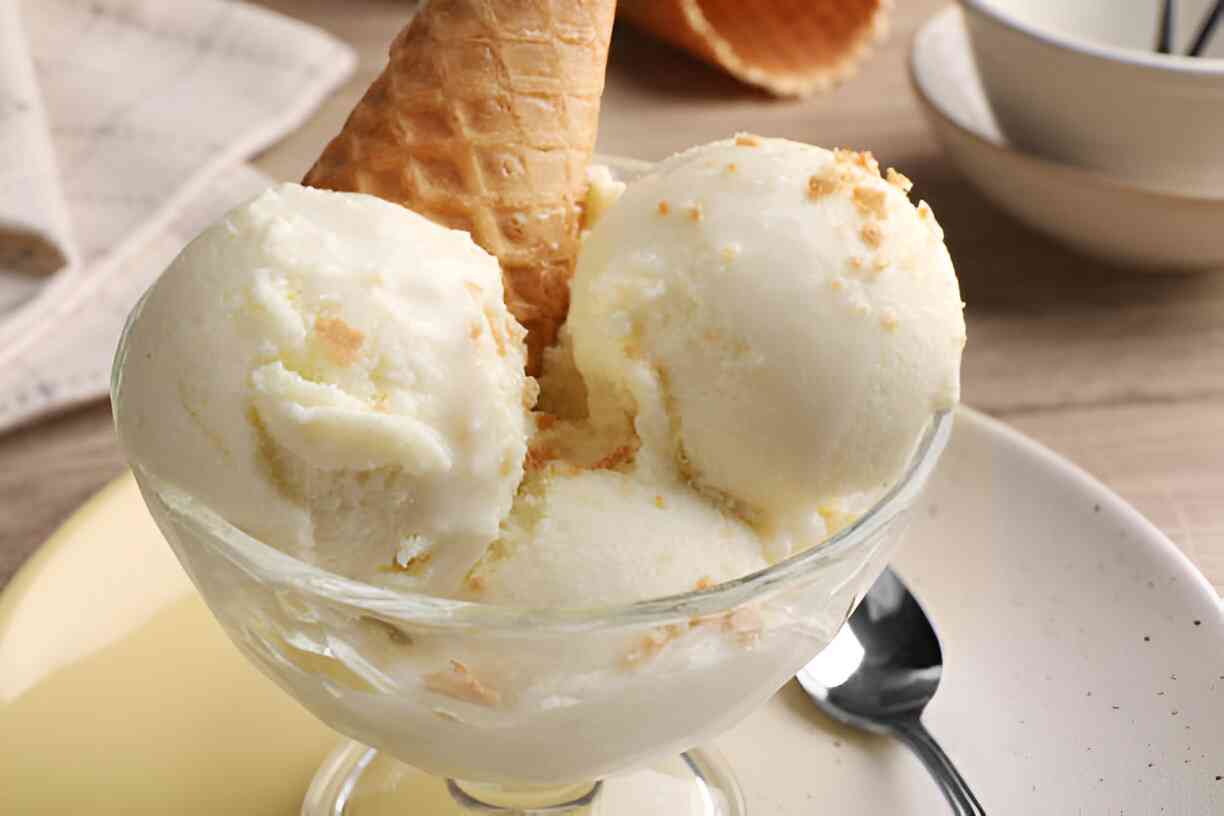 Pampered Chef Homemade Vanilla Ice Cream